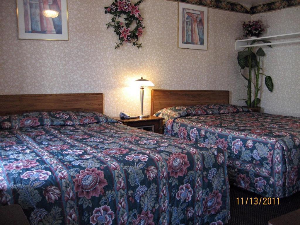 Airport Motel - Inglewood Room photo